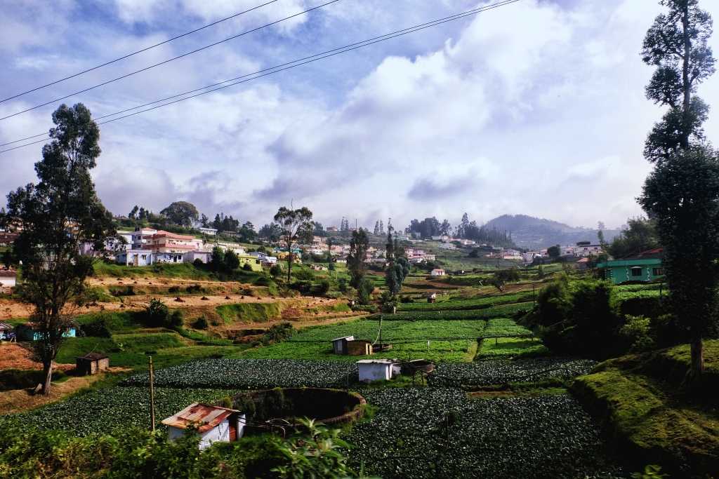 Ooty Travels