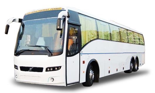 Travels Services